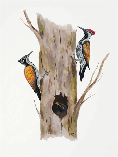 The Rain Tree Collection - Original Gouache Paintings – Shivani Patel ...