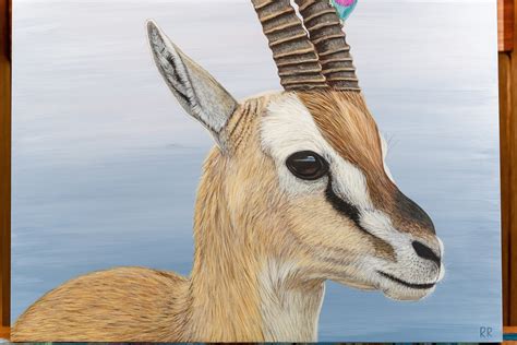 Red Gazelle Animal