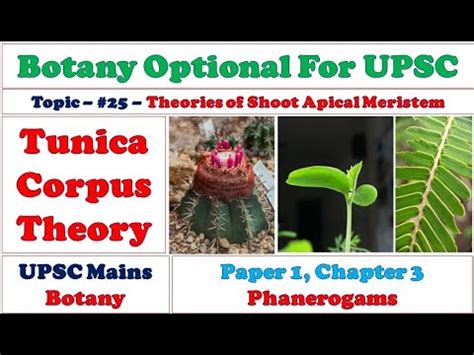 Tunica Carpus Theory: Theories of Shoot Apical Meristems: Merits and ...