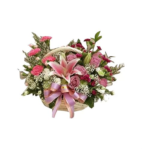 Pretty Box 的图像结果