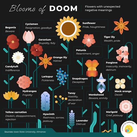 Flowers with Unexpected Negative Meanings [Infographic] : r/floriography