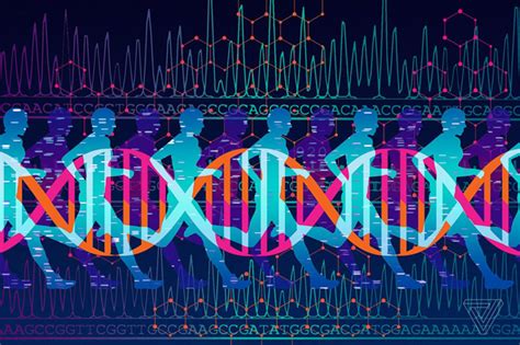 Image result for Genetic Algorithm Computer Science