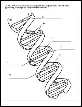 Image result for Color Coding DNA Matches