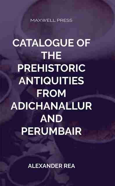 Catalogue of the Prehistoric Antiquities: Buy Catalogue of the ...