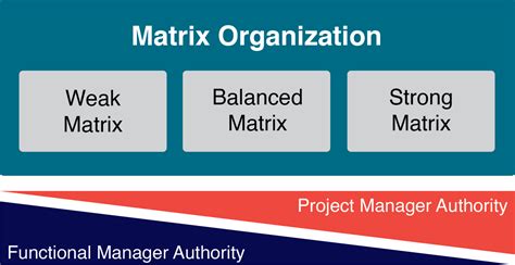 Image result for Project and Matrix Structures