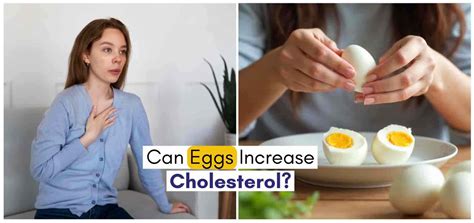 Cracking the myth: Can eggs increase cholesterol?