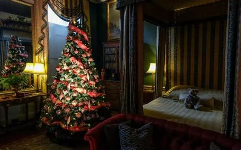 Buy Christmas Tree In Kolkata | WhatsHot Kolkata