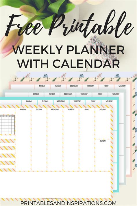 Planning 的图像结果