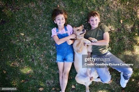 Sis vs Bro Dog 的图像结果