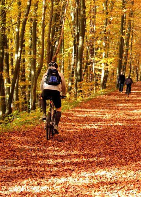 Image result for GoPro Shoulder Mount