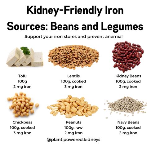 Iron-Rich Foods for CKD Patients - Plant-Powered Kidneys | Renal Diet For Kidney Health