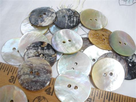 Image result for Large Mop Shell Buttons