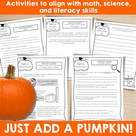Image result for Pumpkin Object Lesson