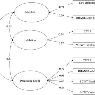 Rezultat imagine pentru Continuous Performance Test