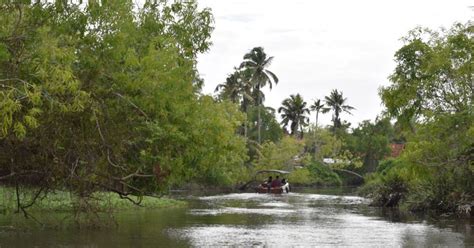 Teaching and learning using authentic assessment - Teacher Magazine