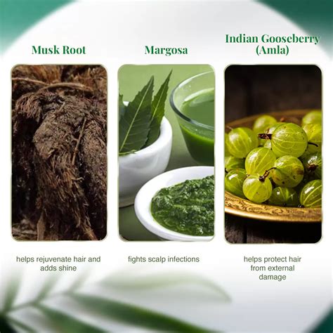 Buy Best Natural & Herbal Henna - 120 g - VLCC