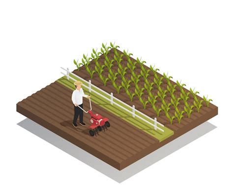 Agriculture Vector 的图像结果