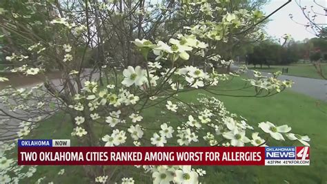 Two Oklahoma cities ranked among worst for allergies – KFOR.com ...