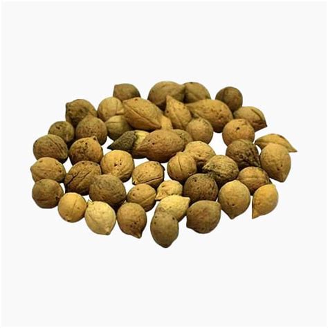 Kunjika Jadibooti Jeevak Beej - Jiya Pota Seeds - Putra Jivak Beej ...