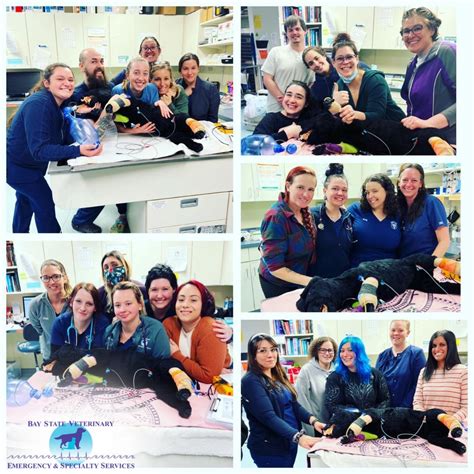 United Veterinary Care on LinkedIn: #uvc #uvcfamily #empower #support # ...