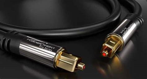 Image result for Cable Leg Extensions Exercise