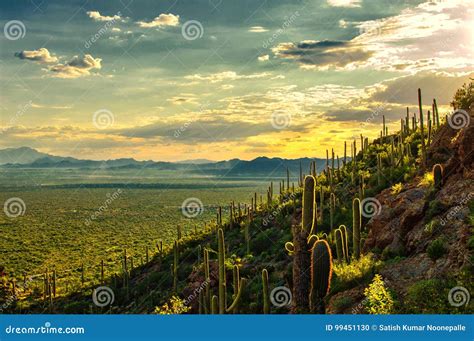 Sunset View of Sonoran Desert from Tucson Mountain Park, Tucson AZ ...