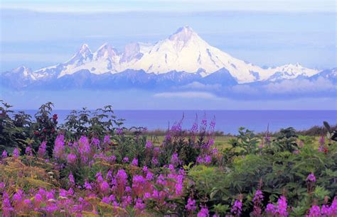 Image result for silversmith