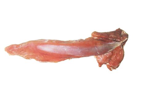 Frozen Buffalo Meat Manufactures & Exporter in Delhi, India |Omarinter