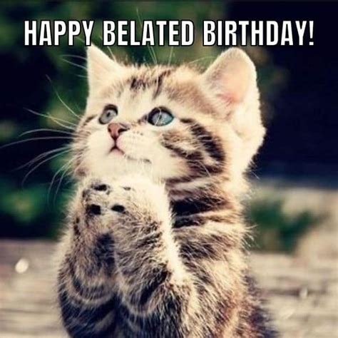 50+ Funny Happy Belated Birthday Memes for Everyone
