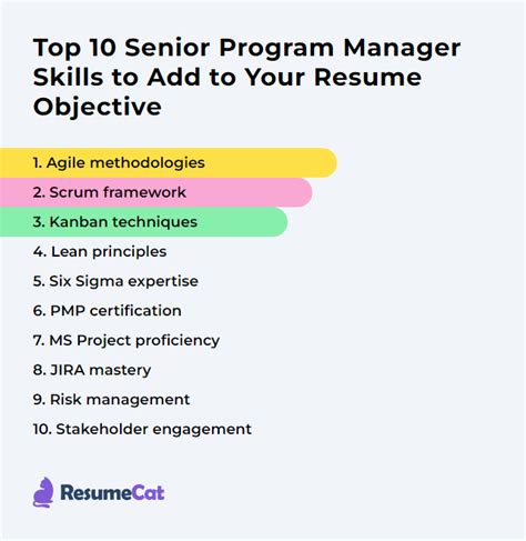 Image result for Program Manager Objective Statement Resume
