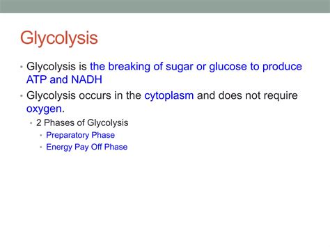Cell respiration | PPTX