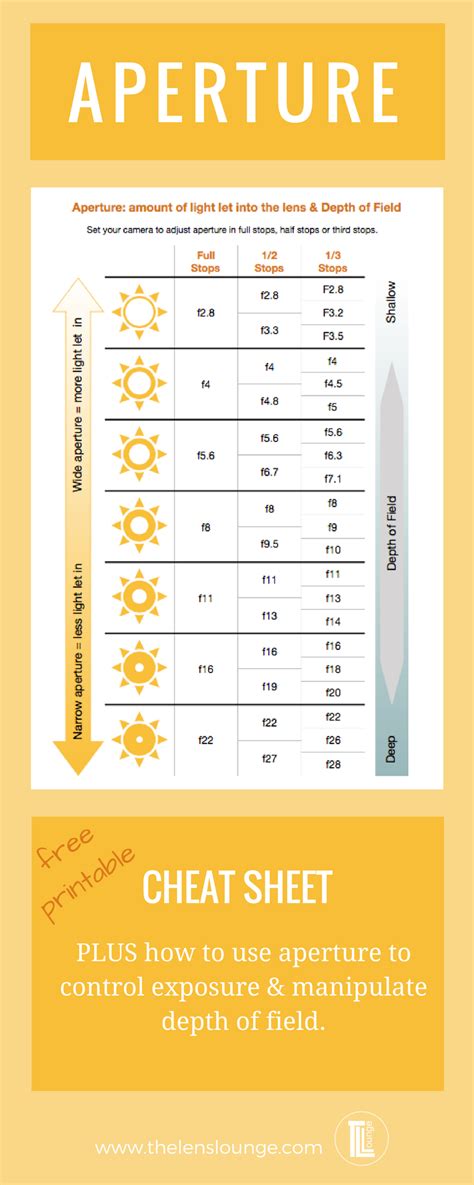 photography books portrait