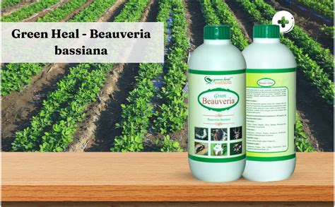 Green Heal - Beauveria bassiana -1 Liter : Amazon.in: Garden & Outdoors