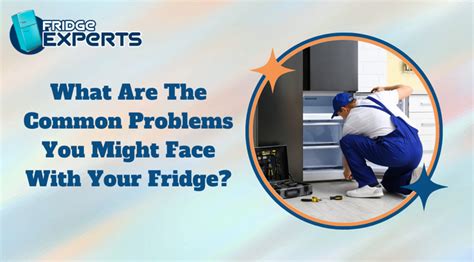 Image result for Fridge Problems