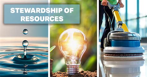 Stewardship 的图像结果