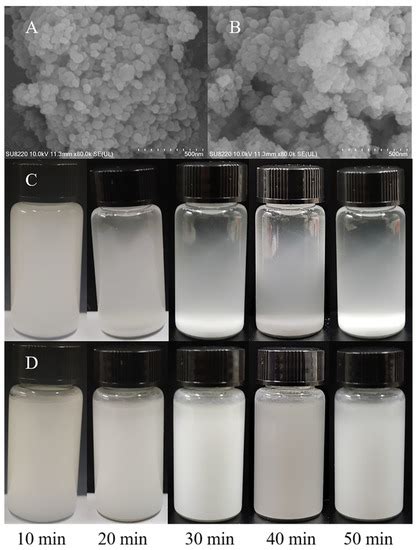 Bagasse Cellulose Composite Superabsorbent Material with Double ...