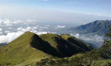 MOUNT MERBABU (2026) All You Need to Know BEFORE You Go (with Photos ...