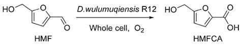 Highly Selective Oxidation of 5-Hydroxymethylfurfural to 5 ...