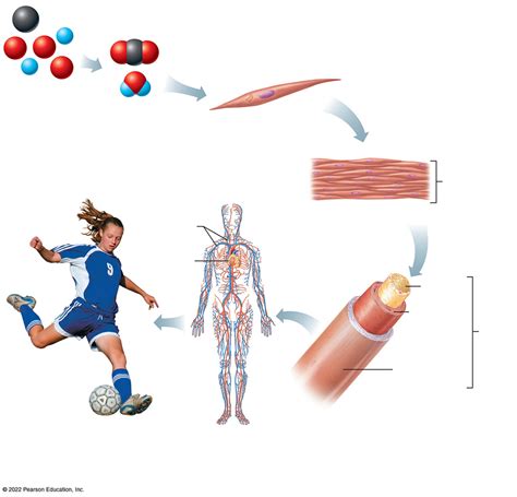 Example of System Structure 的图像结果