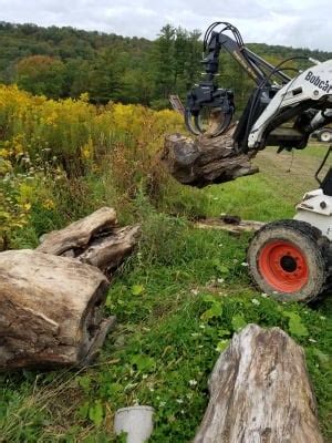 Image result for Valby Grapples