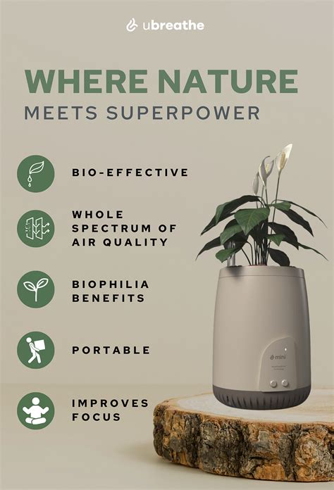 Top 5 Hidden Indoor Air Pollutants Affecting Indian Homes and How to ...