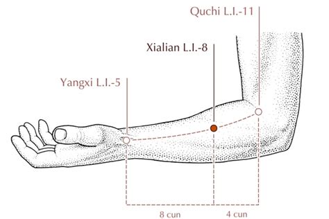 Falaah Acupunture - Chennai