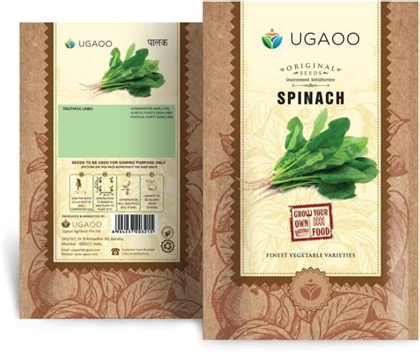 UGAOO Palak or Spinach Vegetable Seeds (Green, Pack of 100 g) : Amazon ...