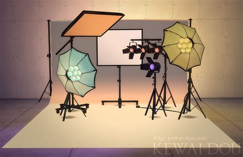 Image result for Sims 4 Photography Mod