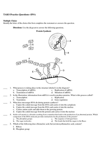 Image result for Protein Synthesis Practice