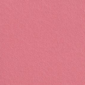 Euni Rose (004 CRUSH)