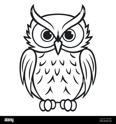 Owl Design