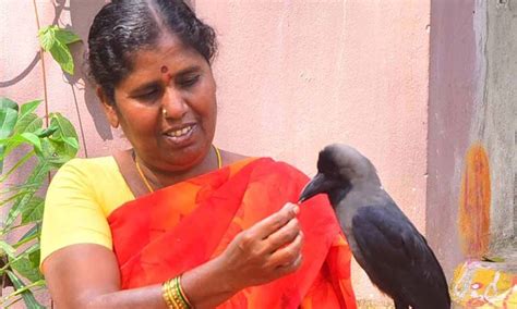 కాకి పిల్ల కాకికి ముద్దు.. కానీ ఆమెకు కాకి అంటేనే ముద్దు? | Khammam ...