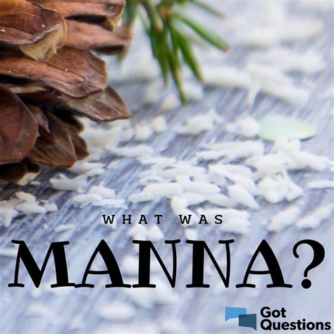 What was manna? | GotQuestions.org