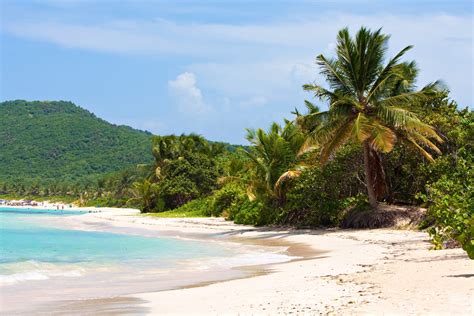 Explore Culebra - Puerto Rico Ferry docked by Hornblower